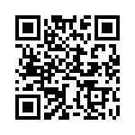 BZW04-9V4-R1G QRCode