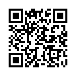 BZW04P19-E3-73 QRCode