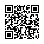 BZW06-28-B0G QRCode