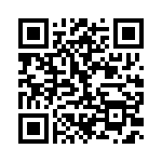 BZW06-28 QRCode