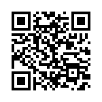 BZW06-299-B0G QRCode