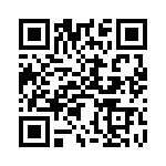BZX384-B33F QRCode