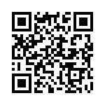 C10175 QRCode