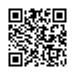 C3290-33-333 QRCode