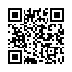 C420C391K3G5TA QRCode