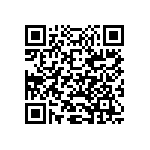 CA3102E28-13SBF80A233 QRCode