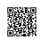 CA3106E20-29PB13 QRCode