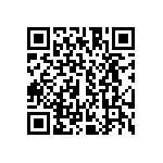 CA3106E22-23PB13 QRCode