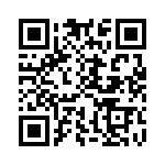 CE3390-33-333 QRCode