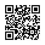 CE3391-33-333 QRCode