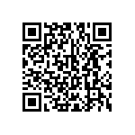 CMF55313K00BEEB QRCode