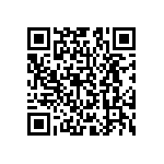 CMF60100R00FKEK64 QRCode