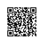 CN0967C20G41P9Y240 QRCode