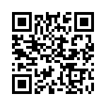 CNY17-4X009 QRCode