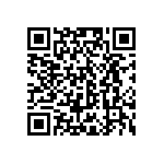 CP00051K300KE66 QRCode