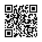 CS137 QRCode