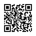 CS335 QRCode