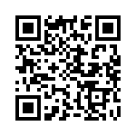 CS341202 QRCode