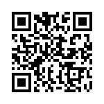 CSS2512FT33L0 QRCode