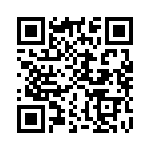 CT2913-2 QRCode