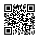 CT2915-2 QRCode