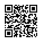 CT3134-S-2 QRCode