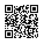 CTJ420E333-513 QRCode