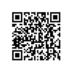 CW0051R300JE12HS QRCode