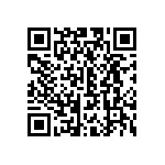 CW0101K300JE733 QRCode