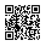 CW0101K300KE73 QRCode