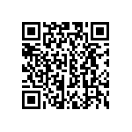 CW0102R370KE733 QRCode