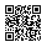 CW0103R300JE12 QRCode