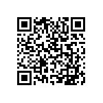 CW010430R0JE733 QRCode