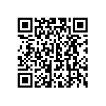 CW0104K300JE733 QRCode