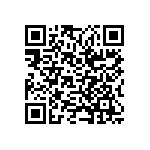 CW0104K300KE733 QRCode