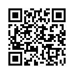 CW0104R300KE12 QRCode