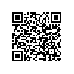 CW0106R000KE733 QRCode