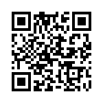 D13007VF13V QRCode