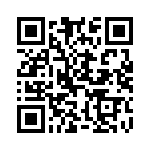 D13007VFI13V QRCode