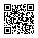 D38999-24WE2AA QRCode