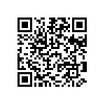 D38999-24WE99PE QRCode