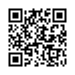 D38999-33W13N QRCode