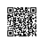 D55342E07B100BPWS QRCode