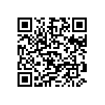 D55342E07B113ARWS QRCode