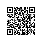 D55342E07B118BRWI QRCode