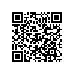 D55342E07B120ERWS QRCode