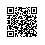 D55342E07B121DPWS QRCode