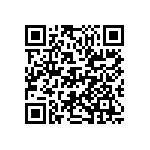 D55342E07B130ERWS QRCode