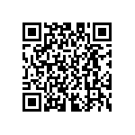 D55342E07B133BRWS QRCode