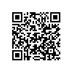 D55342E07B133ERWS QRCode